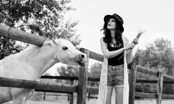 Žena Černém Klobouku Kudrnatými Vlasy Černými Šaty Koňmi Farmě Domácí — Stock fotografie