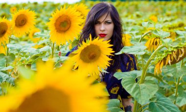 Çekici, genç, esmer, kıvırcık kadın ayçiçeği çayırında, altın bir tarlada güneşli bir günde hayatın tadını çıkar.