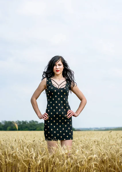 Estilo Vintage Relajante Mujer Joven Naturaleza Campo Oro Descanse Prado —  Fotos de Stock