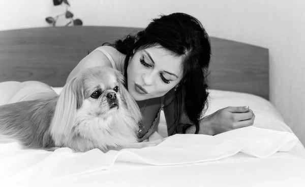 Menina Morena Bonita Que Coloca Abraça Seu Cão Bonito Cama — Fotografia de Stock