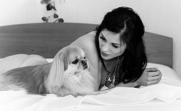 Девочка Брюнетка Лежит Обнимает Свою Симпатичную Собаку Кровати Хорошим Настроением — стоковое фото