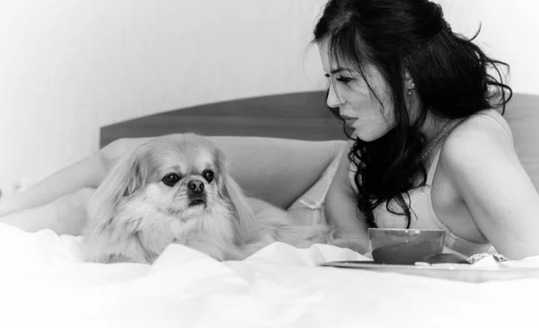 Девочка Брюнетка Лежит Обнимает Свою Симпатичную Собаку Кровати Хорошим Настроением — стоковое фото