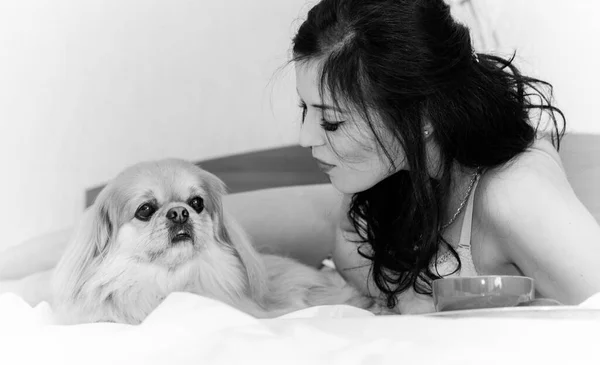 Mooi Brunette Meisje Leggen Knuffelen Haar Schattige Hond Bed Met — Stockfoto