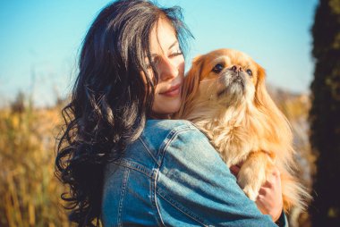 Gün batımında köpekli genç bir kadının yürüyüşü. Küçük köpek ciddi bir suratla oturuyor. Evcil köpeği olan tatlı bir kadın parkta yürüyor.