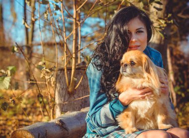 Gün batımında köpekli genç bir kadının yürüyüşü. Küçük köpek ciddi bir suratla oturuyor. Evcil köpeği olan tatlı bir kadın parkta yürüyor.