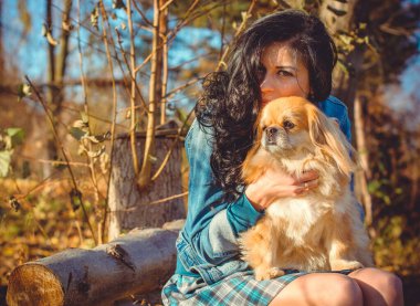 Gün batımında köpekli genç bir kadının yürüyüşü. Küçük köpek ciddi bir suratla oturuyor. Evcil köpeği olan tatlı bir kadın parkta yürüyor.