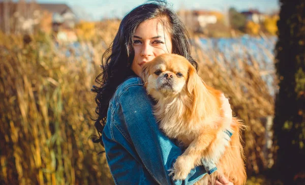 Berjalan Seorang Wanita Muda Dengan Anjing Saat Matahari Terbenam Anjing — Stok Foto