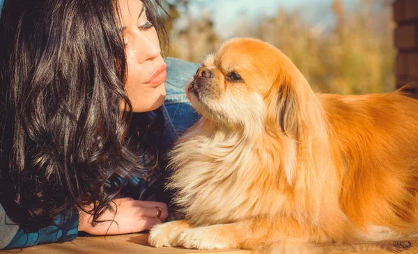 Spaziergang Einer Jungen Frau Mit Hund Bei Sonnenuntergang Kleiner Hund — Stockfoto