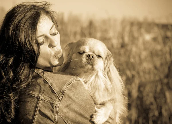 Berjalan Seorang Wanita Muda Dengan Anjing Saat Matahari Terbenam Anjing — Stok Foto