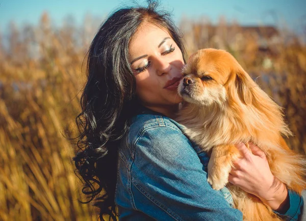 Spaziergang Einer Jungen Frau Mit Hund Bei Sonnenuntergang Kleiner Hund — Stockfoto