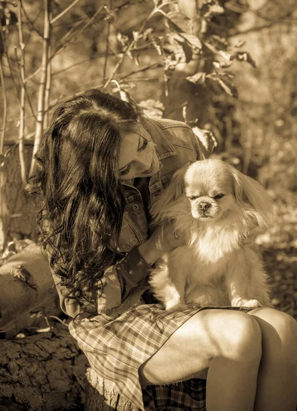 Berjalan Seorang Wanita Muda Dengan Anjing Saat Matahari Terbenam Anjing — Stok Foto