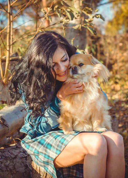 Spaziergang Einer Jungen Frau Mit Hund Bei Sonnenuntergang Kleiner Hund — Stockfoto