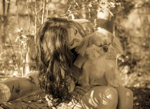 Berjalan Seorang Wanita Muda Dengan Anjing Saat Matahari Terbenam Anjing — Stok Foto