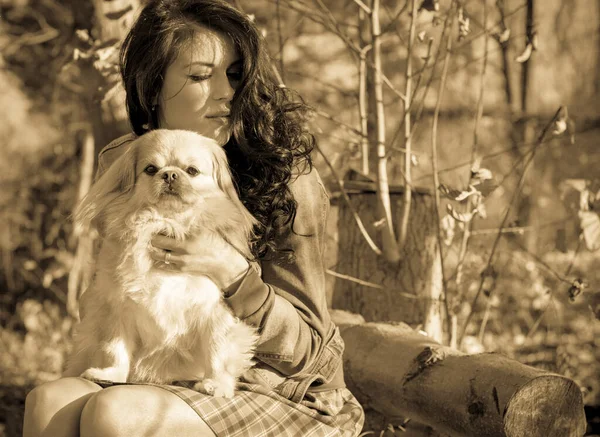 Loop Van Een Jonge Vrouw Met Hond Bij Zonsondergang Kleine — Stockfoto
