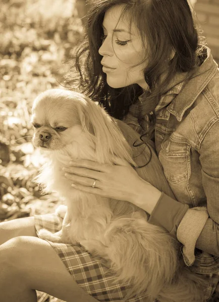 Loop Van Een Jonge Vrouw Met Hond Bij Zonsondergang Kleine — Stockfoto