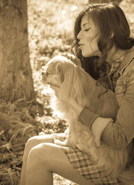 Paseo Una Joven Con Perro Atardecer Pequeño Perro Sentarse Con — Foto de Stock