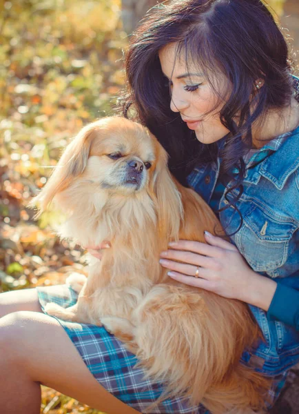 Walk Young Woman Dog Sunset Little Dog Sit Seriously Face — Stock Photo, Image