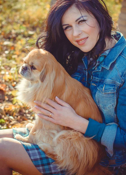 Loop Van Een Jonge Vrouw Met Hond Bij Zonsondergang Kleine — Stockfoto
