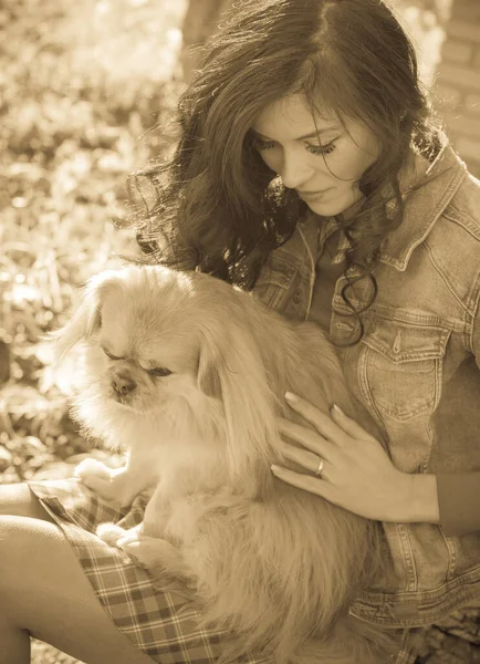 Paseo Una Joven Con Perro Atardecer Pequeño Perro Sentarse Con — Foto de Stock