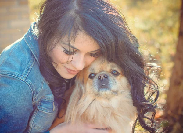 Paseo Una Joven Con Perro Atardecer Pequeño Perro Sentarse Con —  Fotos de Stock