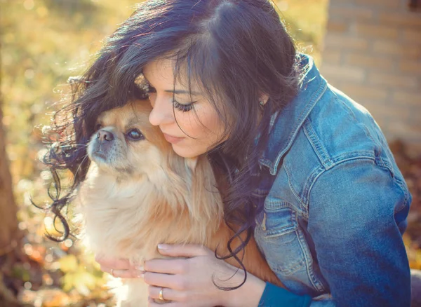 Paseo Una Joven Con Perro Atardecer Pequeño Perro Sentarse Con —  Fotos de Stock