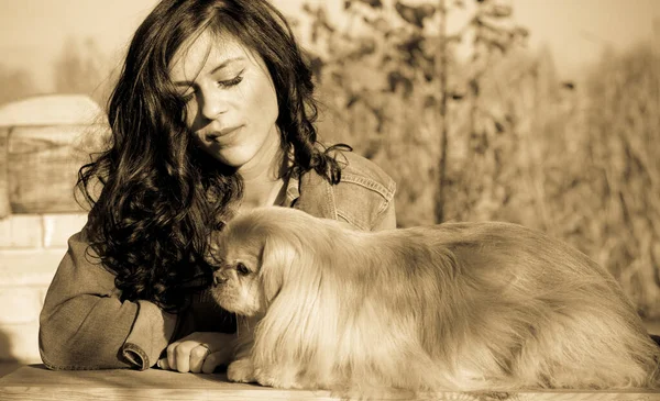 Paseo Una Joven Con Perro Atardecer Pequeño Perro Sentarse Con — Foto de Stock