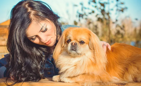 Paseo Una Joven Con Perro Atardecer Pequeño Perro Sentarse Con — Foto de Stock