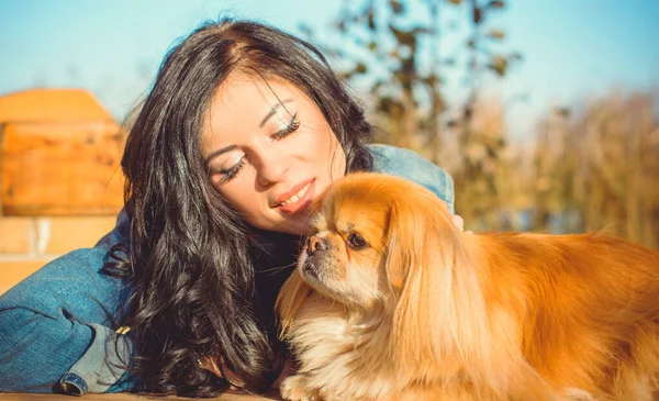 Paseo Una Joven Con Perro Atardecer Pequeño Perro Sentarse Con — Foto de Stock