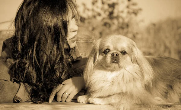 Promenade Une Jeune Femme Avec Chien Coucher Soleil Petit Chien — Photo