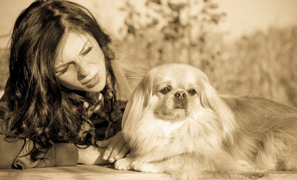 Promenad Med Ung Kvinna Med Hund Vid Solnedgången Sitter Den — Stockfoto