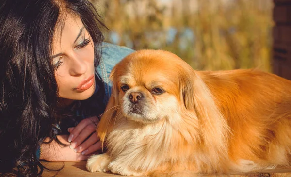 Gün Batımında Köpekli Genç Bir Kadının Yürüyüşü Küçük Köpek Ciddi — Stok fotoğraf