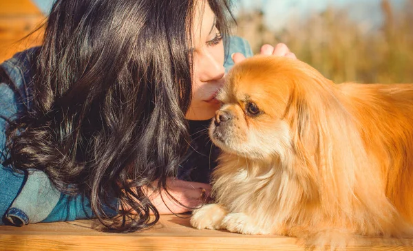 Paseo Una Joven Con Perro Atardecer Pequeño Perro Sentarse Con — Foto de Stock