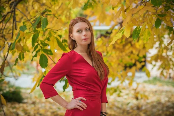 Retrato Mujer Pelirroja Bastante Moda Mediana Edad Estilo Vida Mujer — Foto de Stock