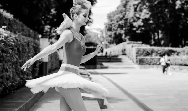 Jonge Vrouw Witte Tutu Dansend Het Groene Landschap Prachtige Ballerina — Stockfoto