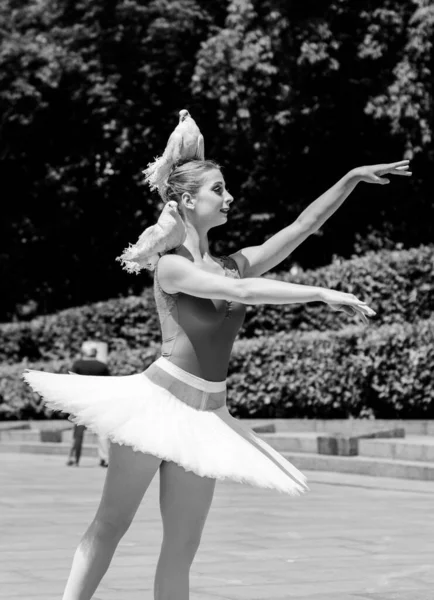 Молодая Женщина Белой Пачке Танцует Зеленом Пейзаже Прекрасная Балерина Показывающая — стоковое фото