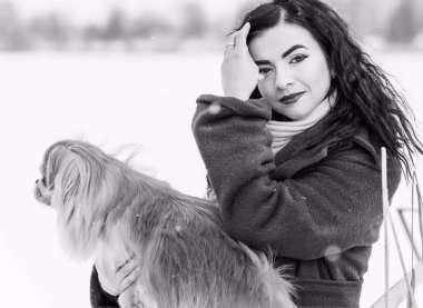 Küçük altın köpekli kadın mavi yün ceket ve örgü eşarp giyiyor, günlük tarz, kış karlı hava yürüyüşleri