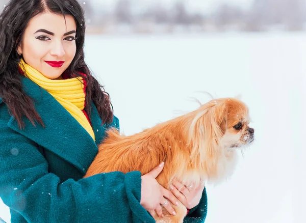 Mulher Com Pequeno Cão Dourado Usar Casaco Azul Cachecol Malha — Fotografia de Stock