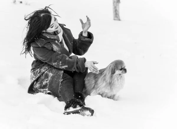 Femme Avec Petit Chien Doré Porter Manteau Laine Bleue Écharpe — Photo