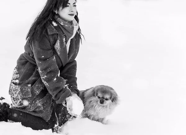 Женщина Маленькой Золотой Собакой Носить Голубую Шерсть Пальто Вязаный Шарф — стоковое фото