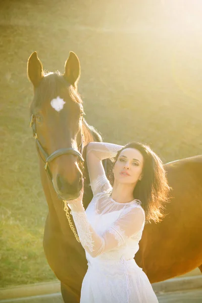 Een Elegante Ruiter Die Met Haar Paard Praat Portret Van — Stockfoto