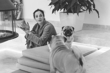 Evde sevimli köpekli hoş bir kadın var. Evcil hayvan evlat edinme, evcil hayvan hayatı. Pug taşıyan dişi, hayvanlar sağlıklı mutlu köpek yavrusu