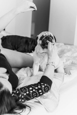 Evde sevimli köpekli hoş bir kadın var. Evcil hayvan evlat edinme, evcil hayvan hayatı. Pug taşıyan dişi, hayvanlar sağlıklı mutlu köpek yavrusu