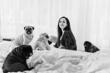 Evde sevimli köpekli hoş bir kadın var. Evcil hayvan evlat edinme, evcil hayvan hayatı. Pug taşıyan dişi, hayvanlar sağlıklı mutlu köpek yavrusu