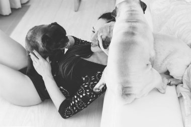 Evde sevimli köpekli hoş bir kadın var. Evcil hayvan evlat edinme, evcil hayvan hayatı. Pug taşıyan dişi, hayvanlar sağlıklı mutlu köpek yavrusu