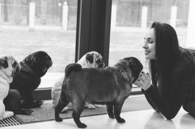 Evde sevimli köpekli hoş bir kadın var. Evcil hayvan evlat edinme, evcil hayvan hayatı. Pug taşıyan dişi, hayvanlar sağlıklı mutlu köpek yavrusu