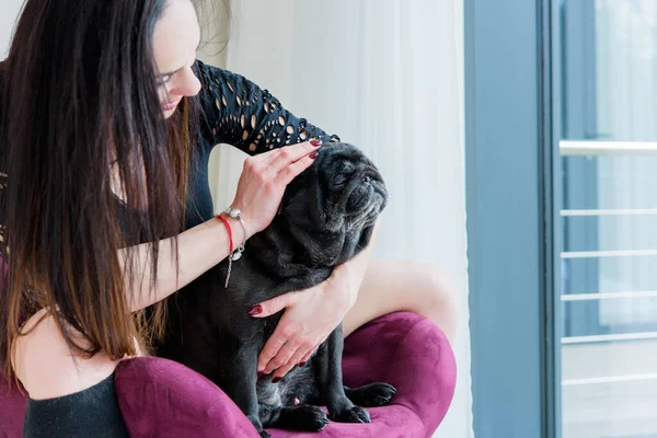 Nette Frau Mit Süßem Mops Hause Pet Adoption Leben Von — Stockfoto