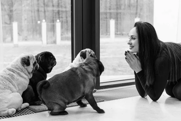 귀여운 강아지를 여자야 동물의 강아지를 데리고 — 스톡 사진