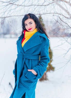 Kış tatili konsepti. Tarz sahibi Arap kadın dışarıda karlı bir güne bakıyor. Mavi alpaka paltolu kadın ve kış günü açık havada kırmızı-sarı atkı.