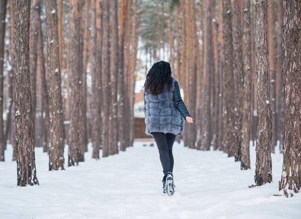 Mujer Abrigo Piel Gris Caminar Bosque Día Invierno Aire Libre — Foto de Stock