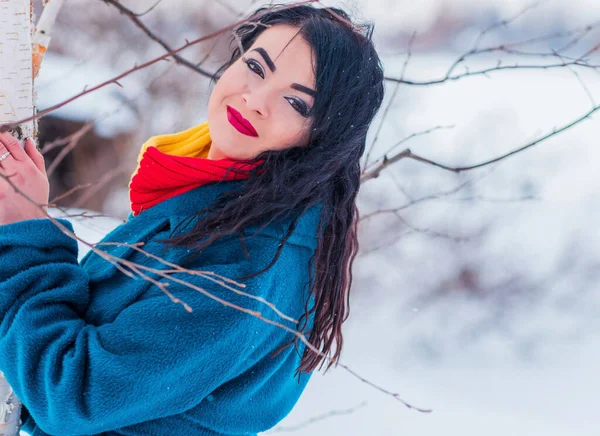 Conceito Férias Inverno Mulher Árabe Olhar Elegante Dia Nevado Fora — Fotografia de Stock